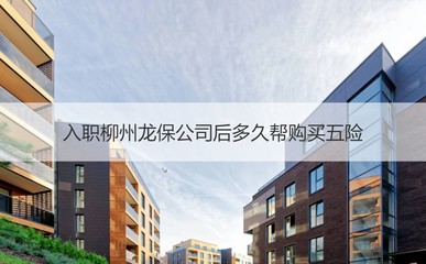 柳州龙保公司入职后五险购买与用品设备出租政策解读